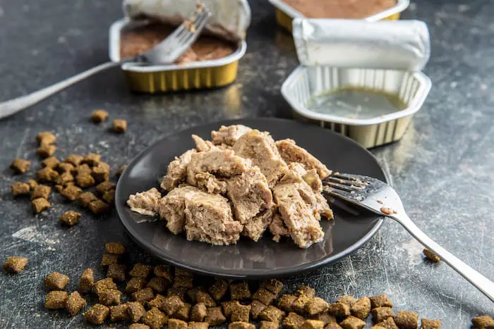 dry and wet kitten food kitten pate and dry food